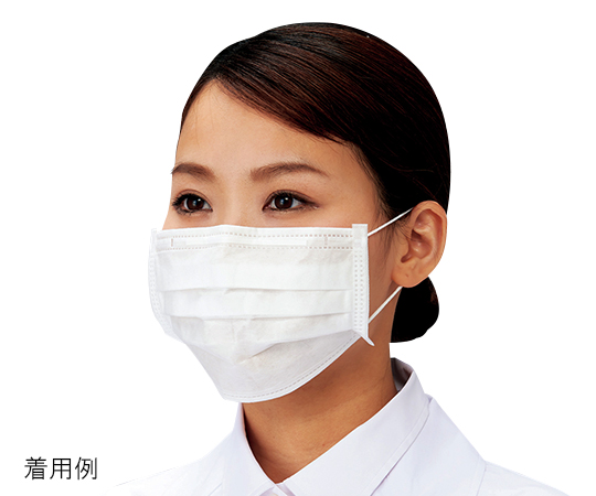 Disposable Mask For Clean Room Regular Type 50 Pieces x 40 Boxes